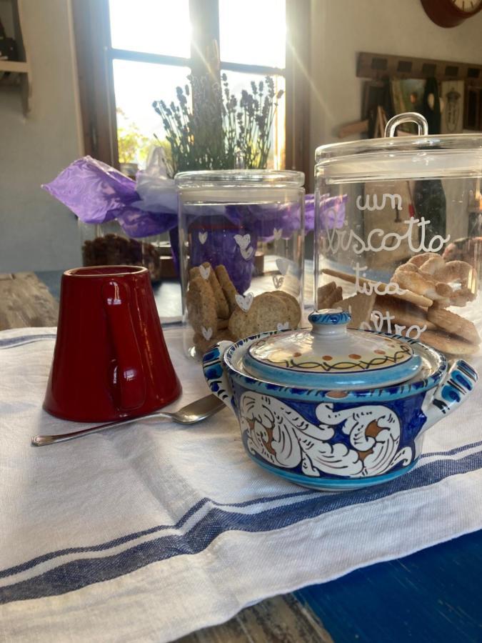 شقة La Casa Di Ciaccia كامايوري المظهر الخارجي الصورة